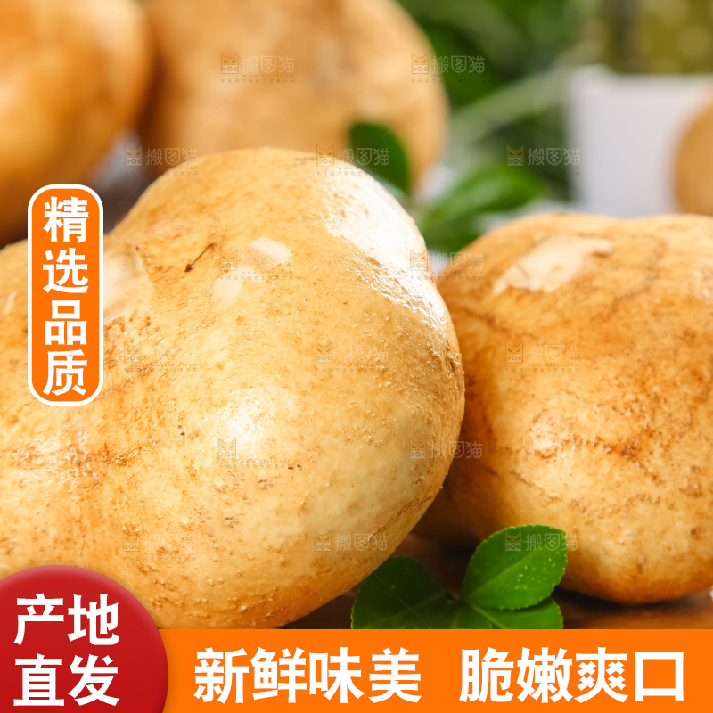 木垫上的白凉薯