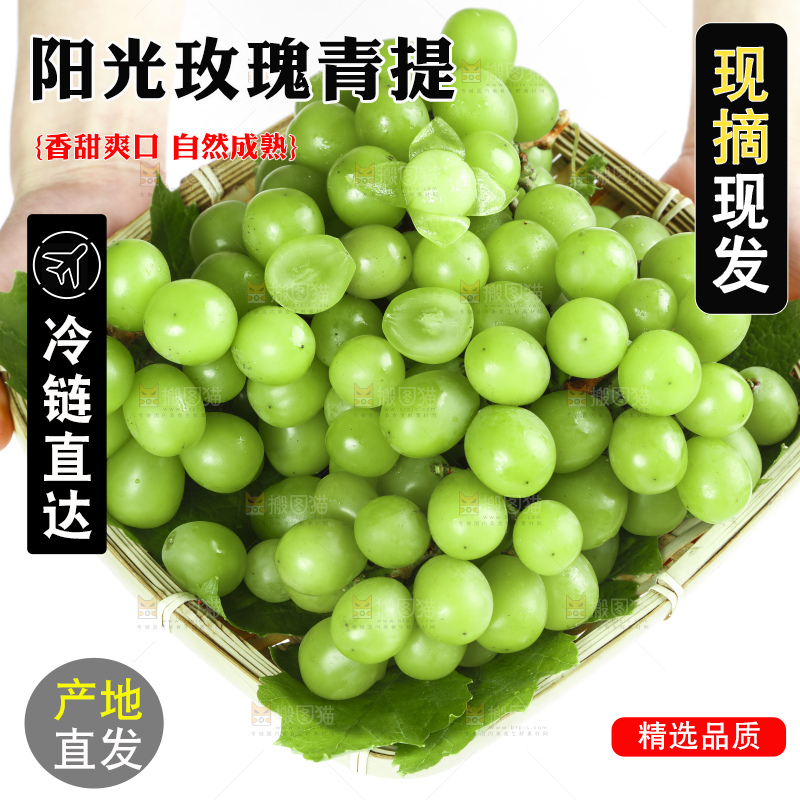 手里拿着无籽青提