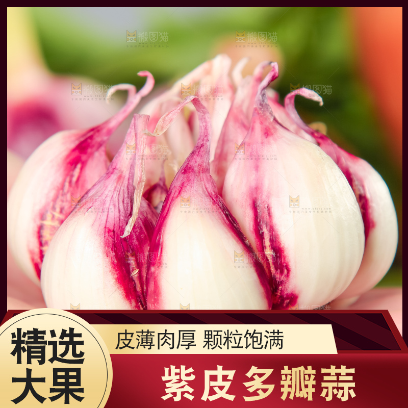 手里拿着紫皮蒜
