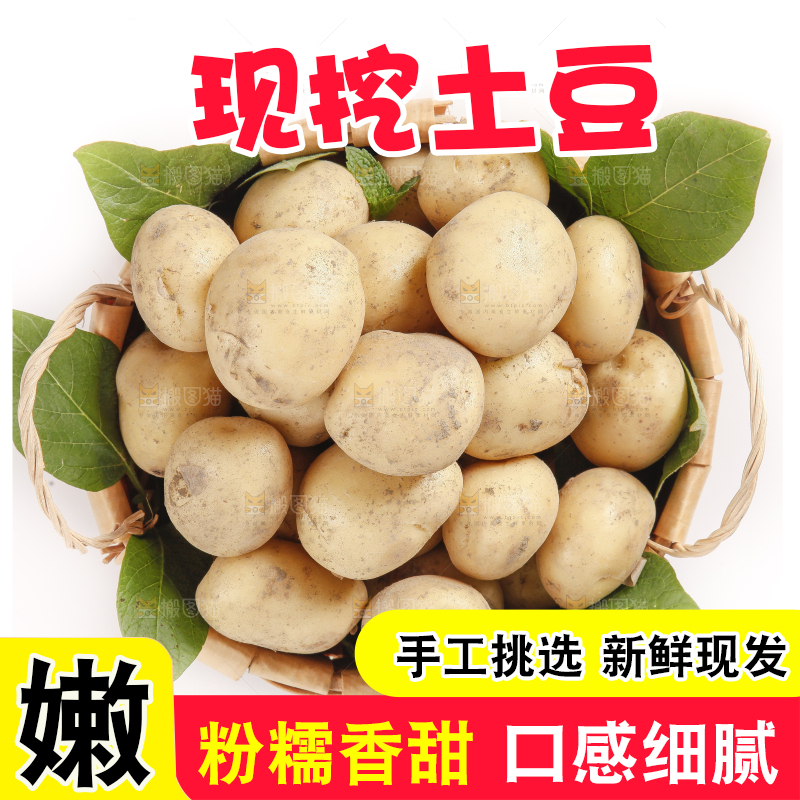 竹篮放着小土豆