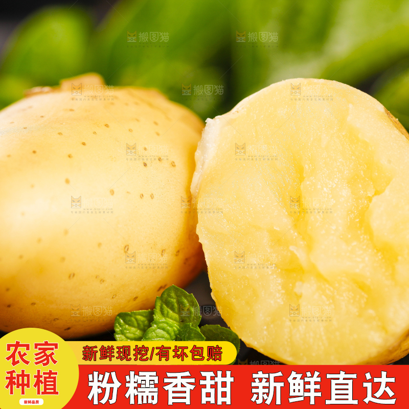 黑石垫上放着云南小土豆