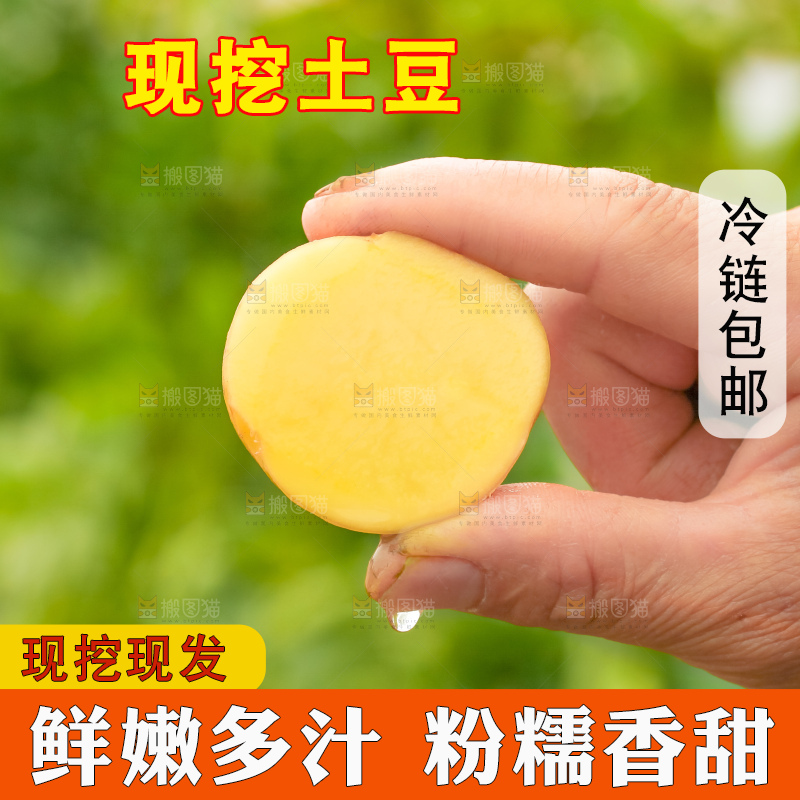手里拿着云南小土豆