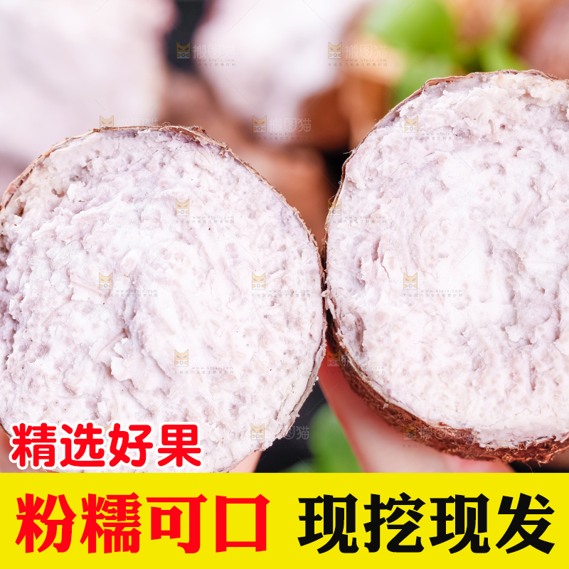 手里拿着大芋头