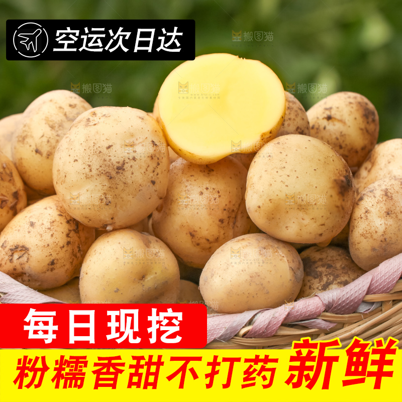 竹篮里放着云南小土豆