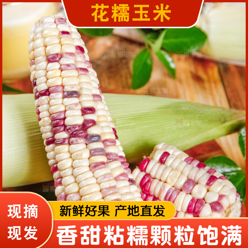 木垫里面放着剥皮的香甜糯玉米
