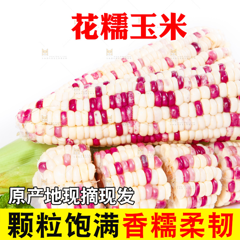 白底上放着剥皮的花玉米
