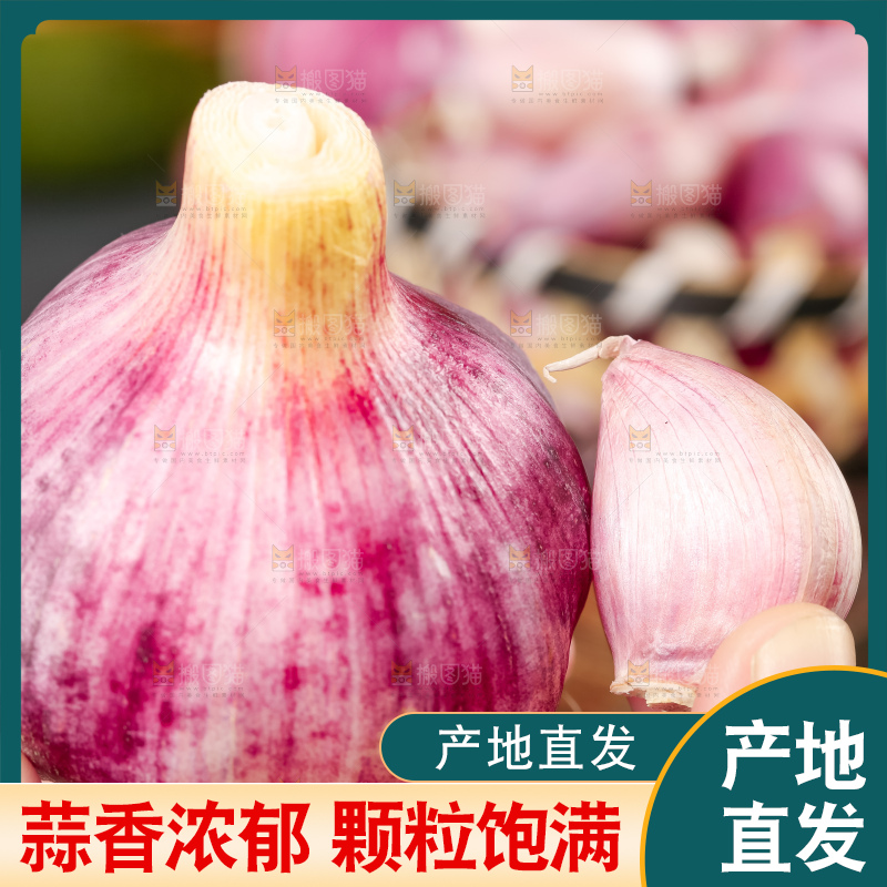 手里拿着云南紫皮大蒜