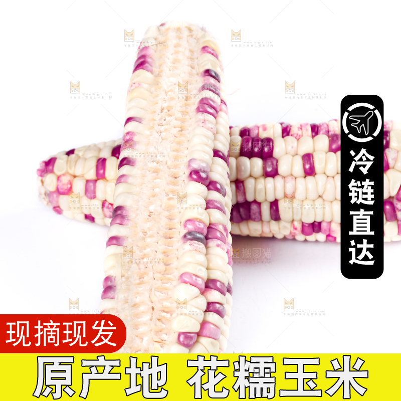 白底上放着花糯玉米