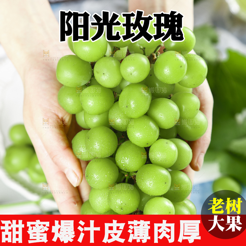 手里拿着阳光玫瑰葡萄