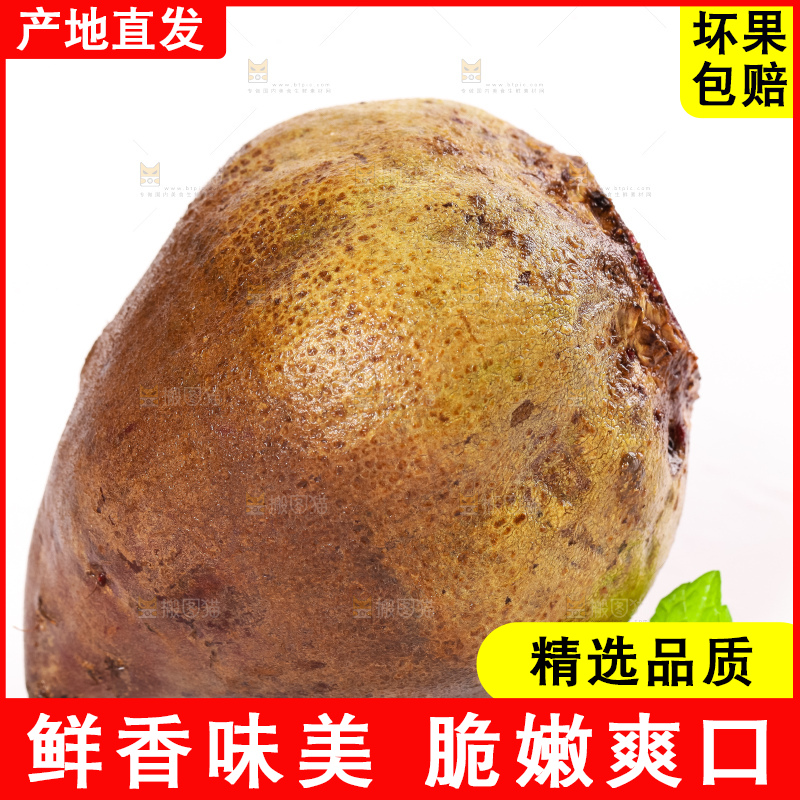 白底上放着甜菜头