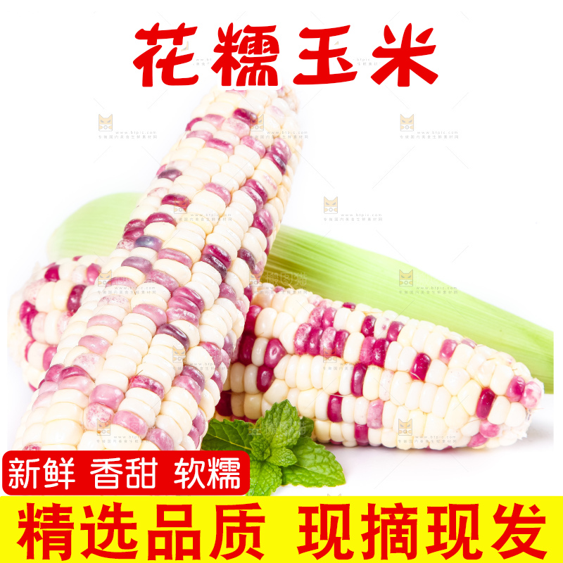 白底上放着剥皮的花玉米
