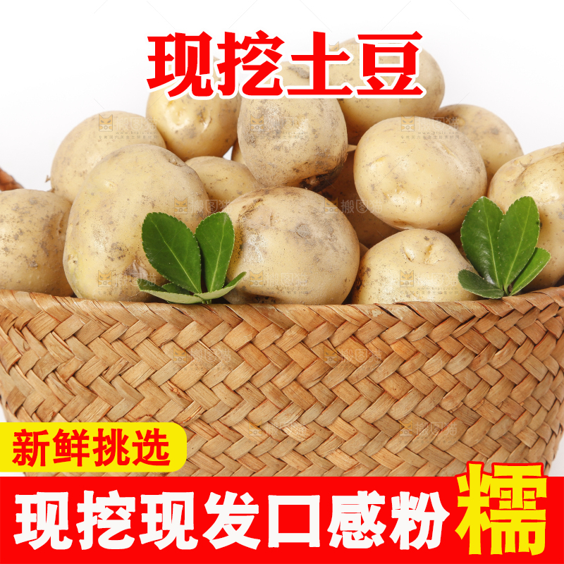 竹篮放着小土豆