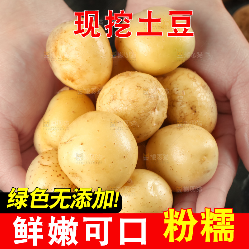 手里拿着小土豆