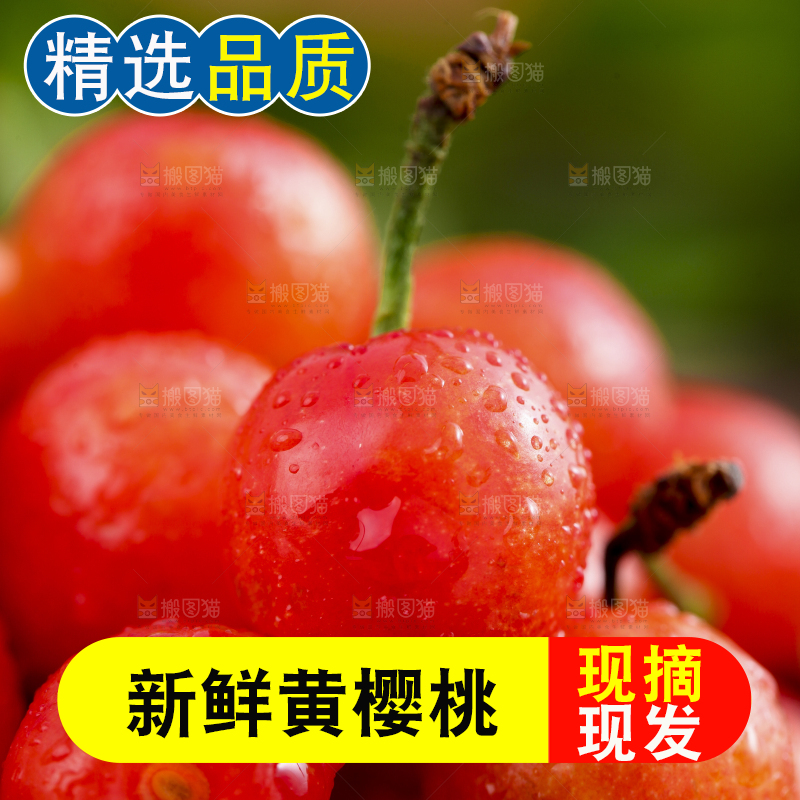 竹篮里装着水晶樱桃