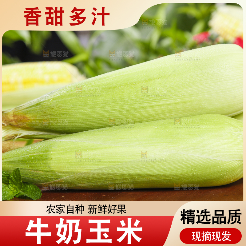 木板上放着牛奶玉米
