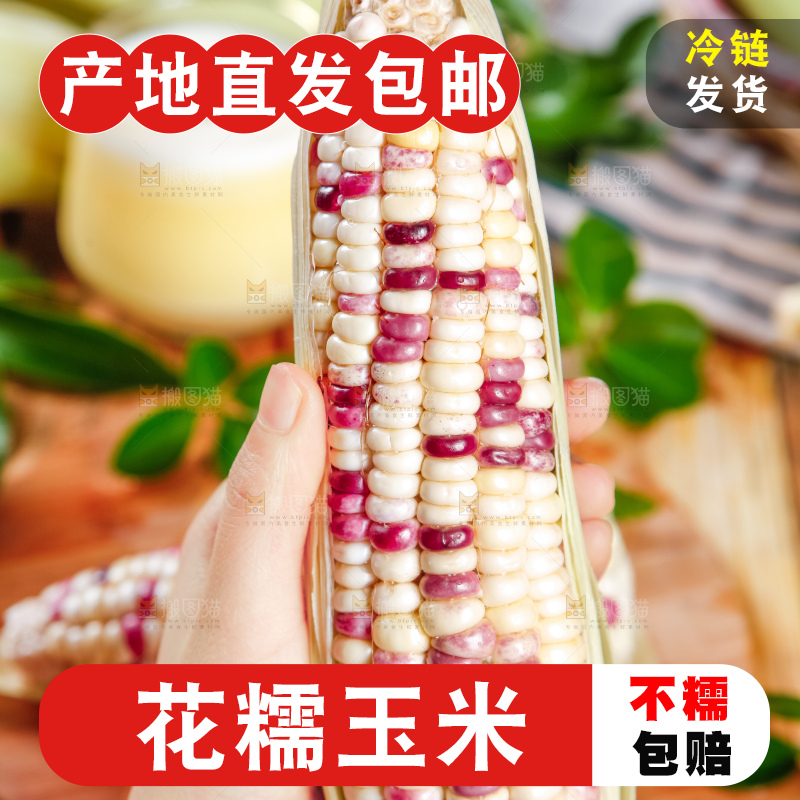 手里拿着花糯玉米