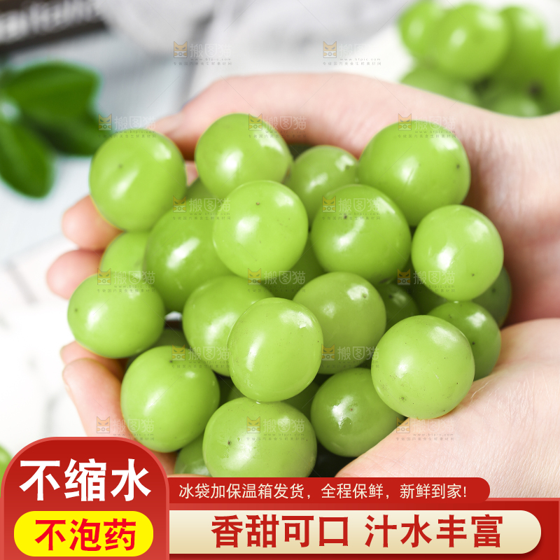 手里拿着无籽青提