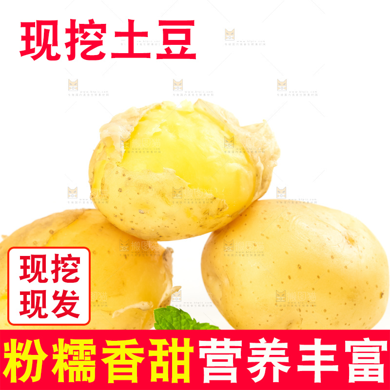 白底上放着小土豆