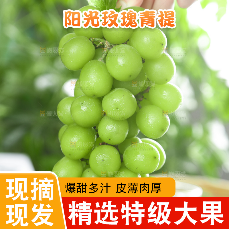 手里拿着香印青提