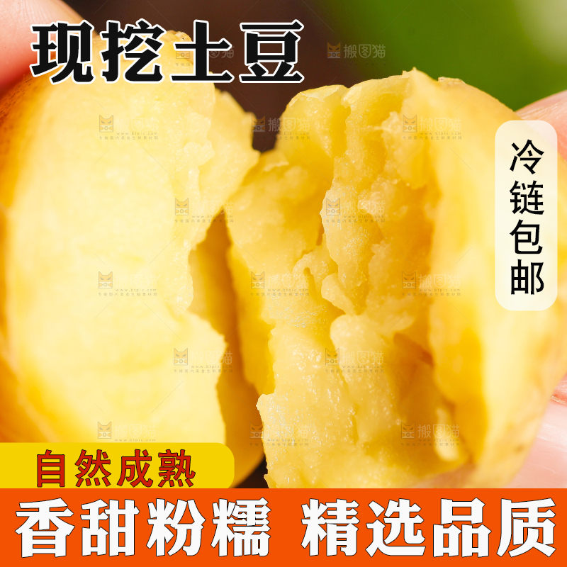 手里拿着小土豆
