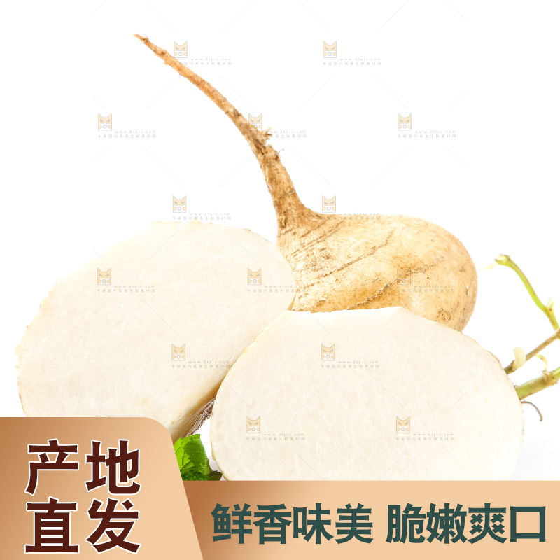 白底上的凉薯