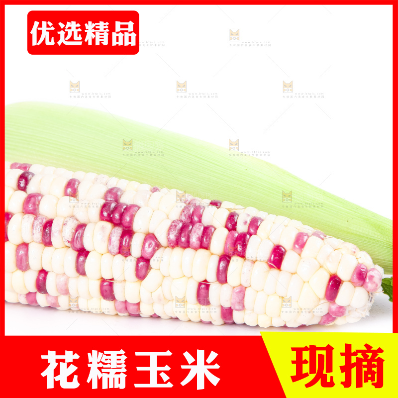 白底上放着剥皮的花玉米