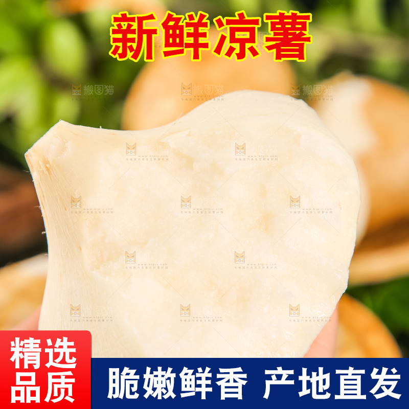 手里拿着白凉薯