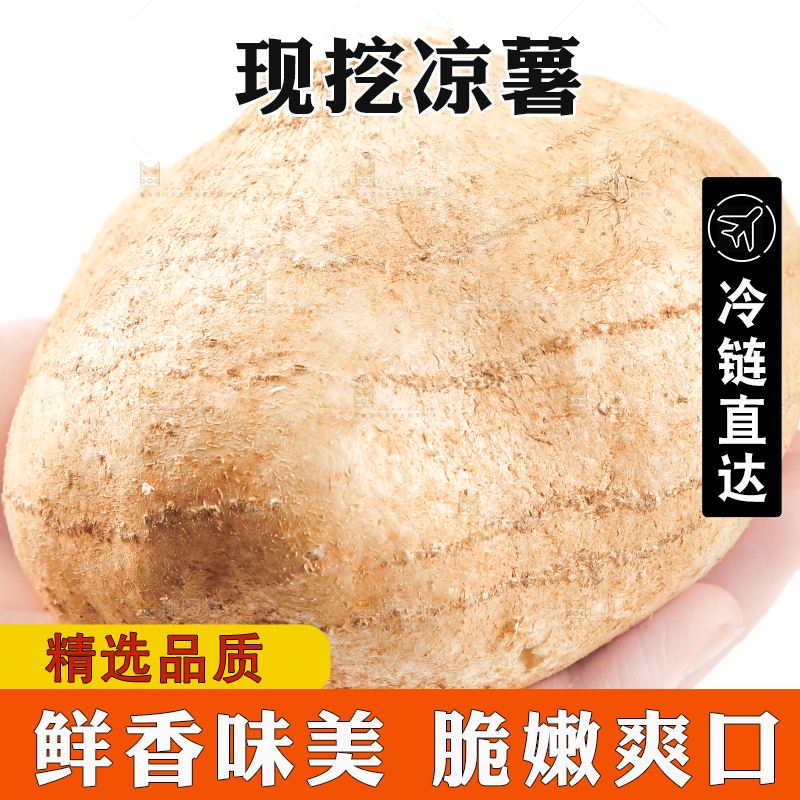 手里拿着凉薯