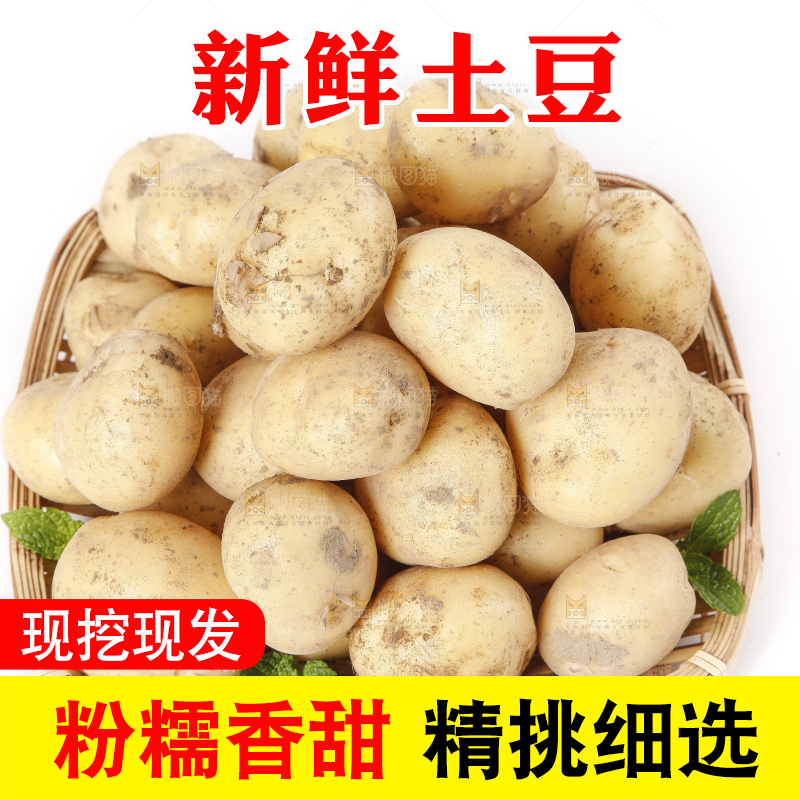 竹篮里放着小土豆