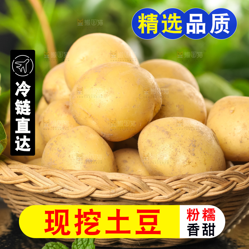 竹篮里装着小土豆