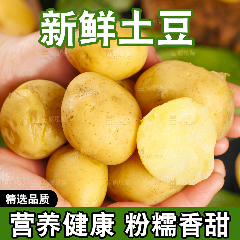 手里拿着小土豆