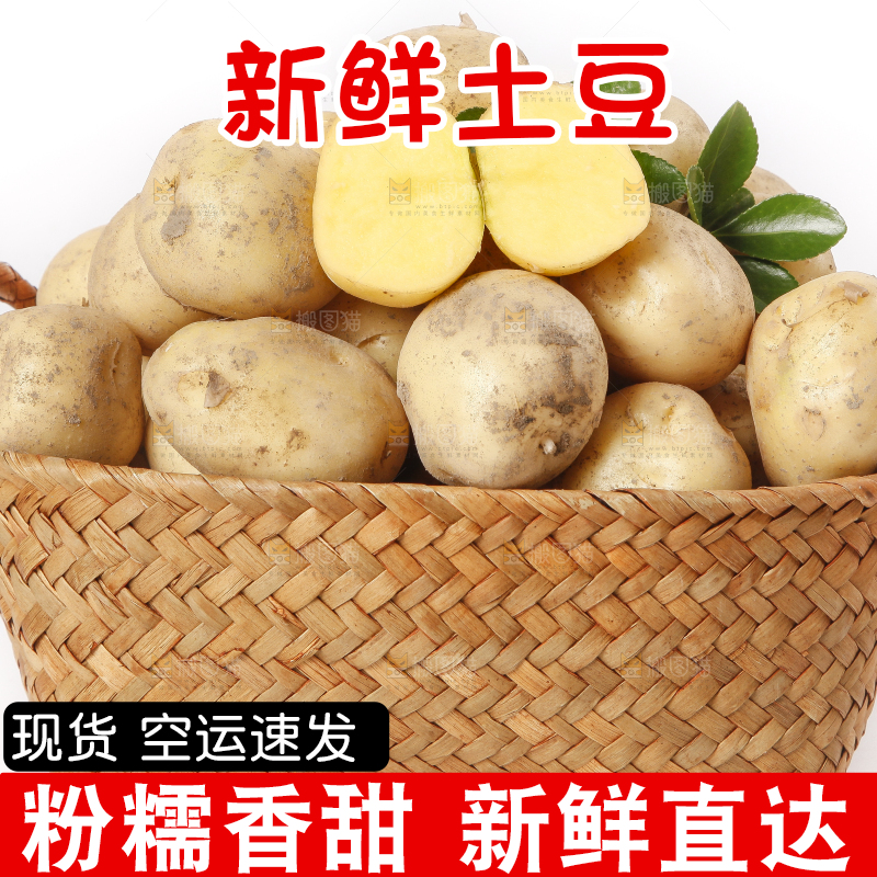 竹篮放着小土豆