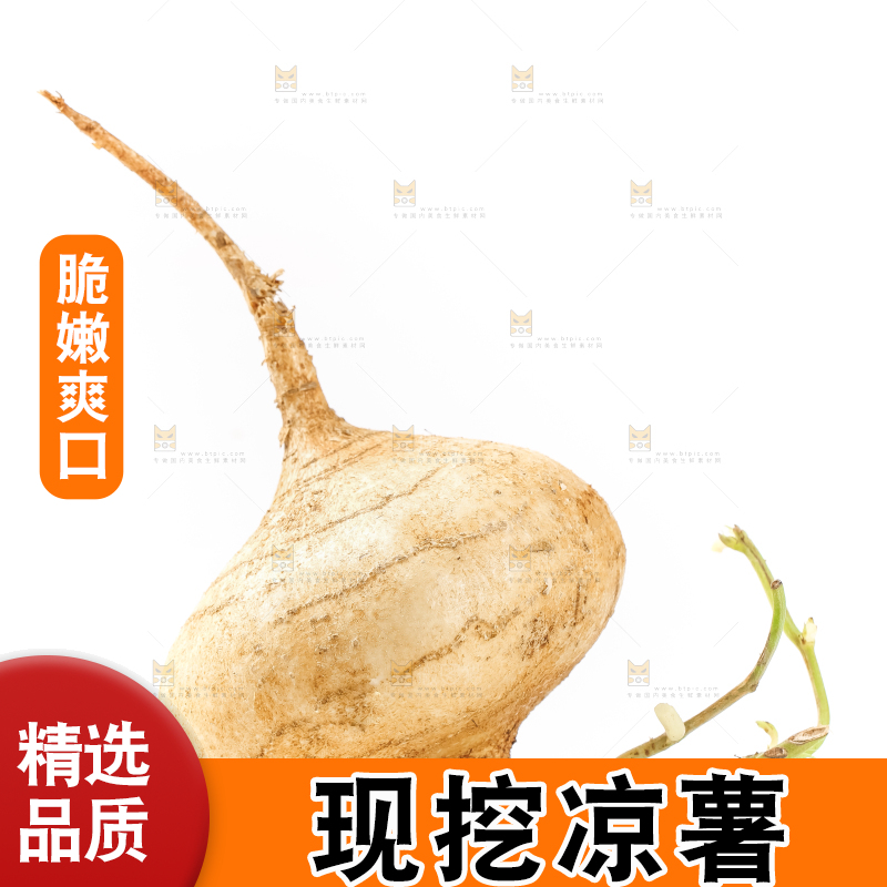 白底上的凉薯