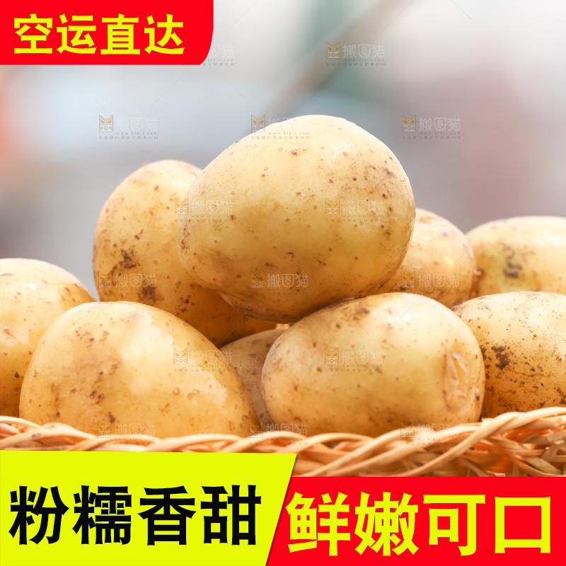 竹篮里装着云南小土豆