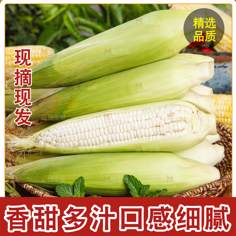 竹篮里放着牛奶玉米