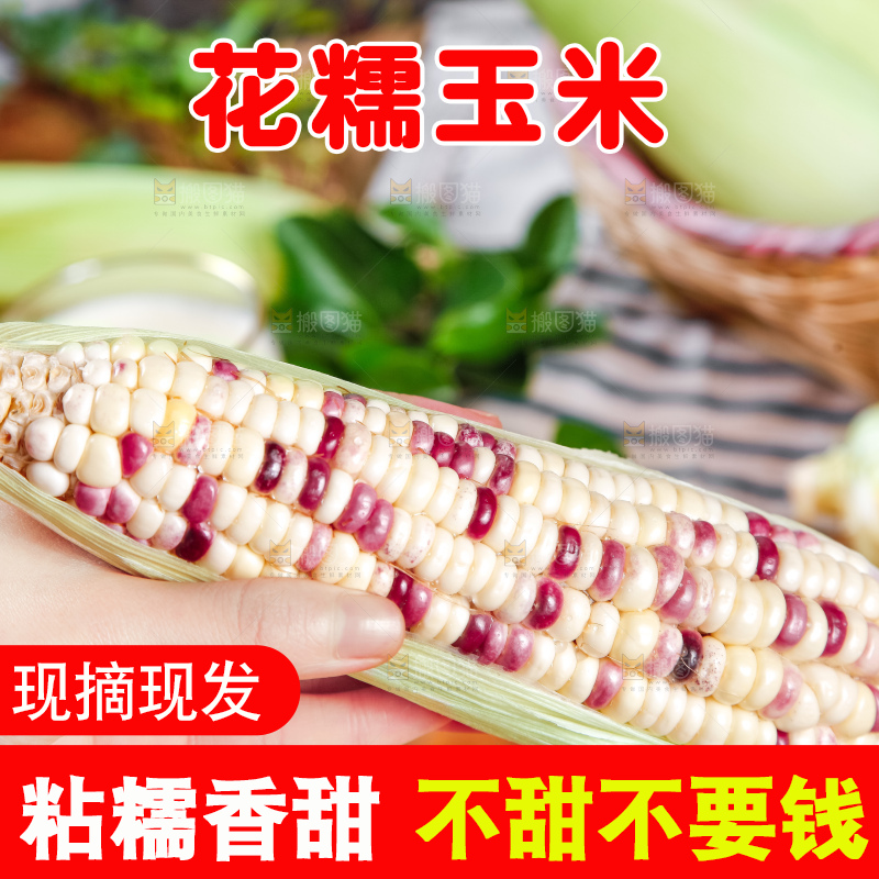 手里拿着花糯玉米