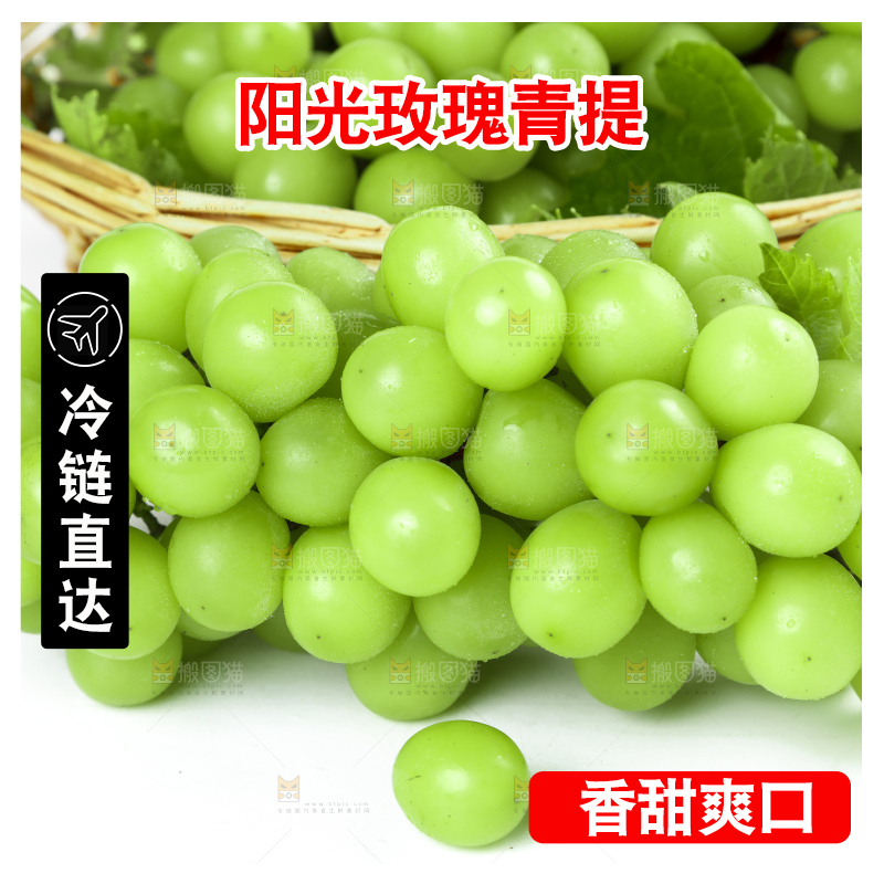 白底上放着阳光玫瑰