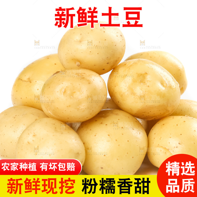 白底上放着云南小土豆