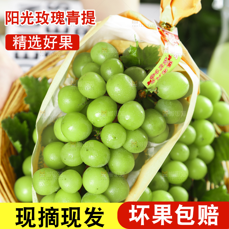手里拿着一篮子无籽青提