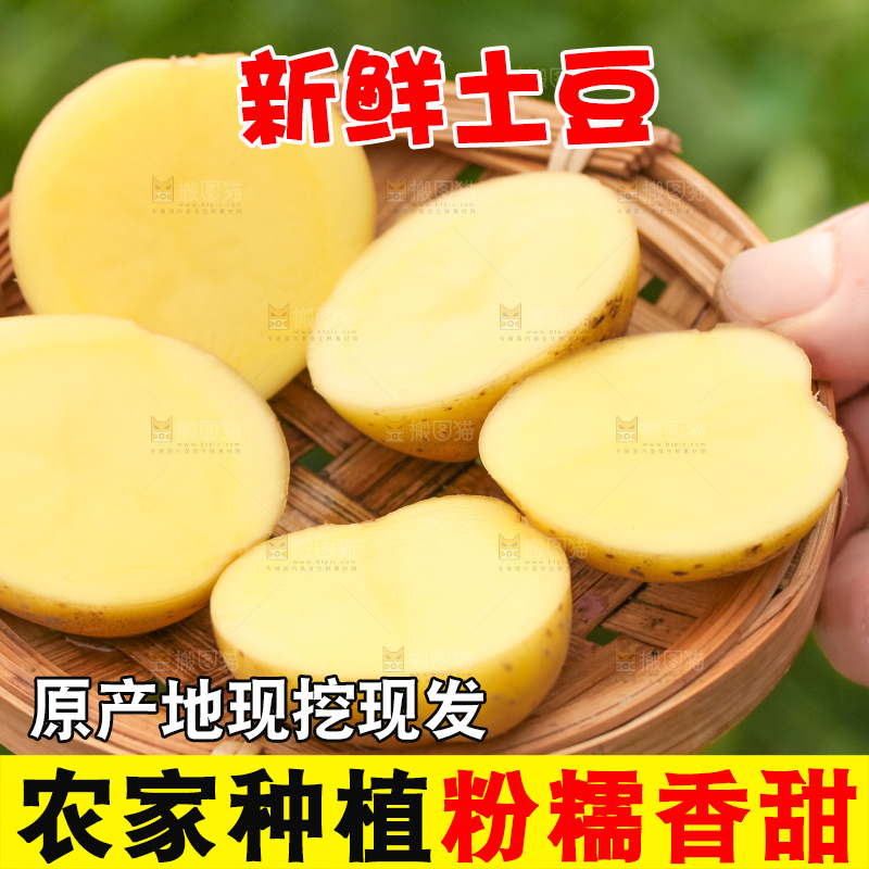 竹篮里装着云南小土豆