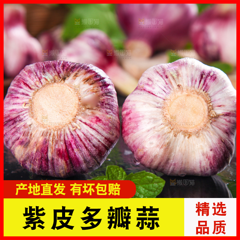 黑石板上放着紫皮大蒜