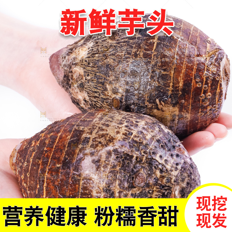 手里拿着大芋头