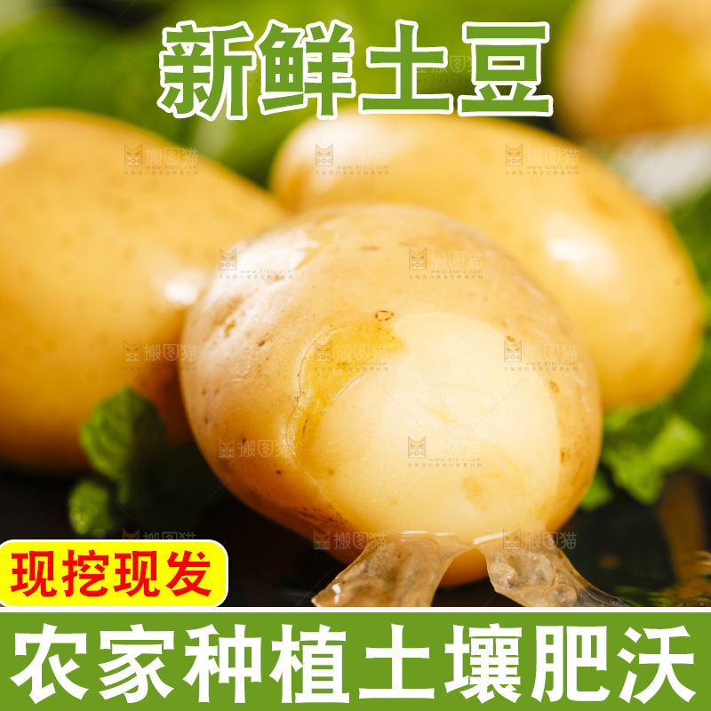 黑石垫上放着云南小土豆