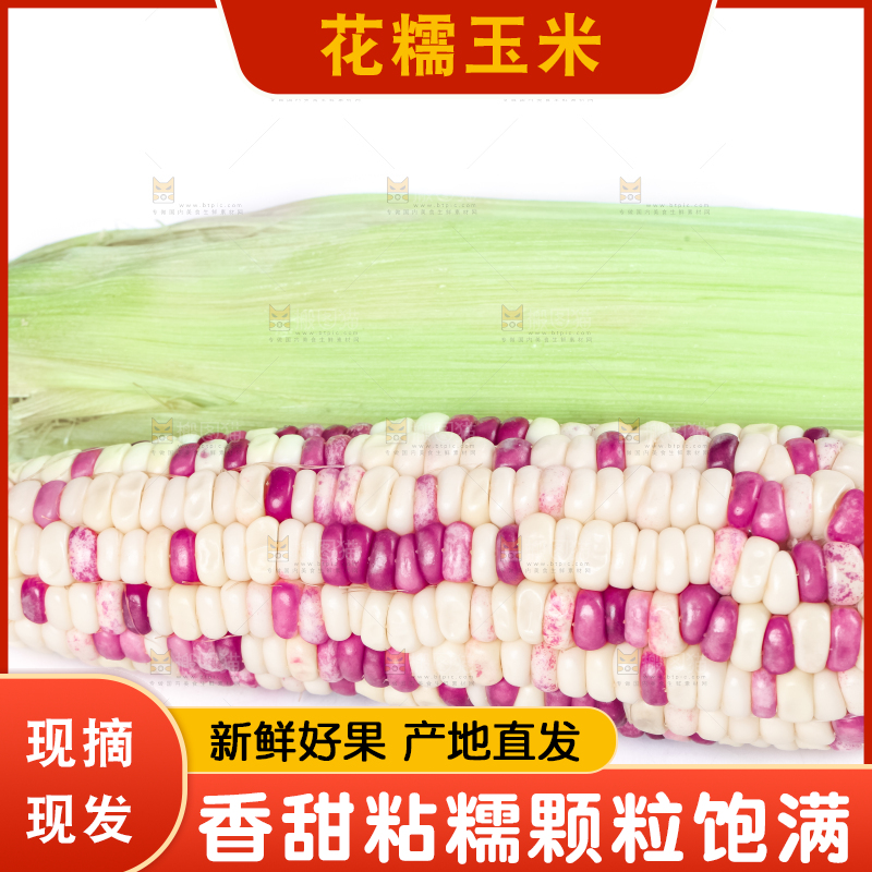 白底上放着花糯玉米