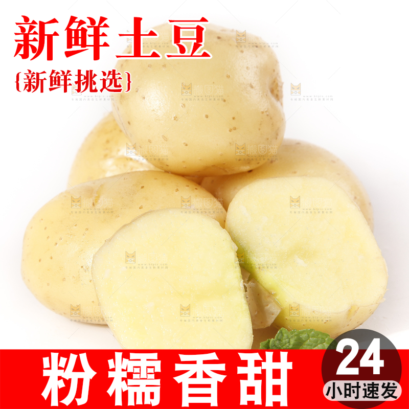 白底上的土豆