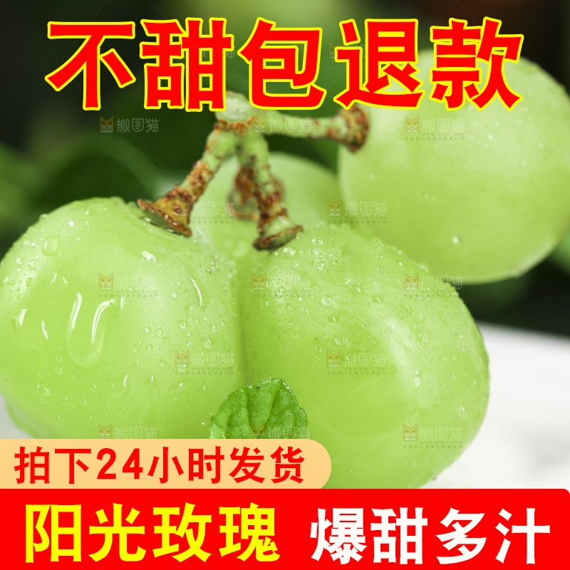 石板上放着无籽青提