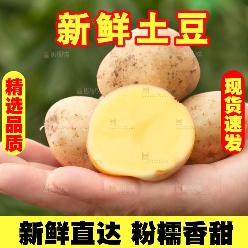 手里拿着云南小土豆