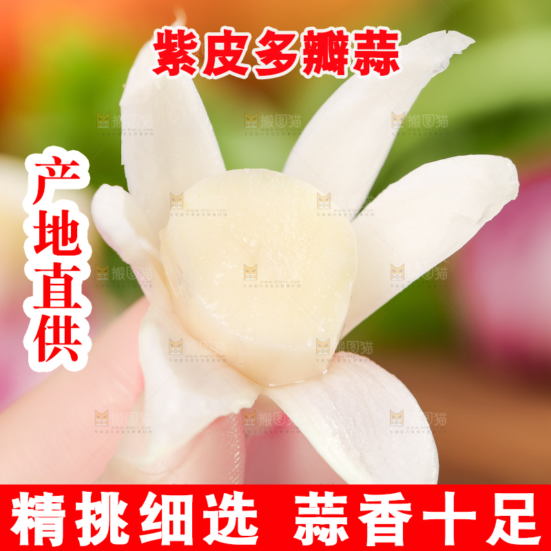 手里拿着云南紫皮大蒜