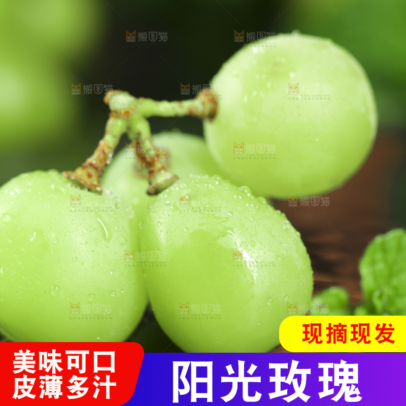 黑石垫上放着无籽青提