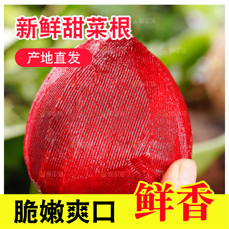 手里拿着甜菜根